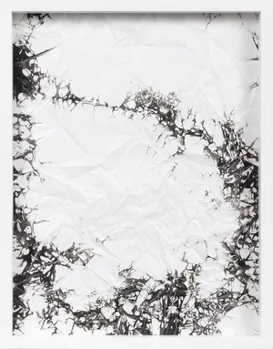 hommage à Simon Hantai artwork