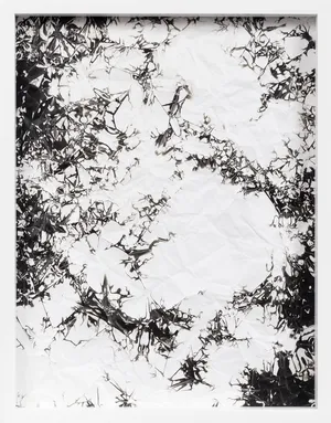 hommage à Simon Hantai artwork