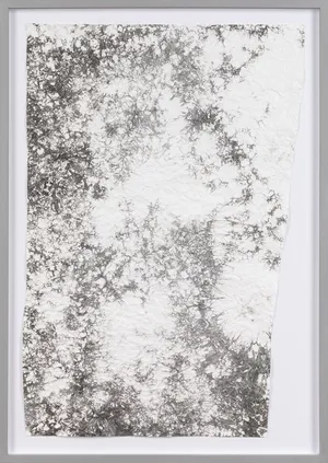 hommage à Simon Hantai artwork