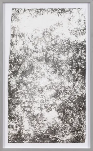 hommage à Simon Hantai artwork