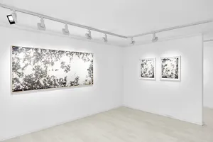 hommage à Simon Hantai artwork