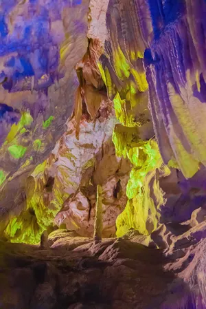 Meet the artists nominated by Der Greif in 2024