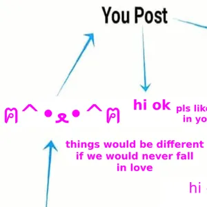 how instagram algorithm works