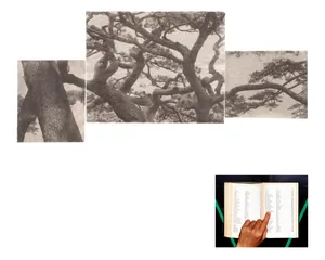 How to (Un)Name a Tree artwork