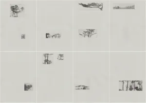 How to (Un)Name a Tree artwork