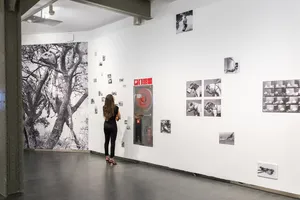 HYBRIDS exhibition in Madrid