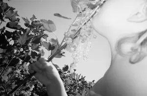 I am. Rada artwork