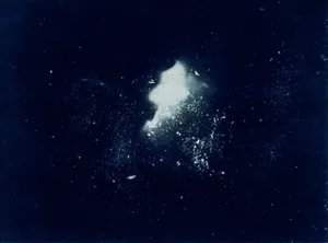 I can almost hear birds artwork