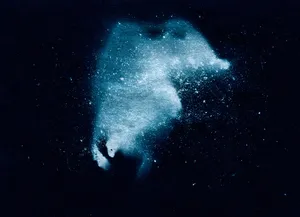 I can almost hear birds artwork