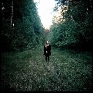 I can almost hear birds artwork