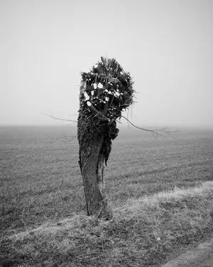 I fear that the magic has left this place artwork