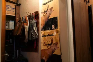 I'm Going to Live a Hundred Years! artwork