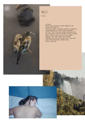I Made Them Run Away artwork