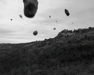 I saw a tree bearing stones in the place of apples and pears artwork