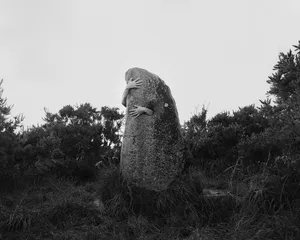 I saw a tree bearing stones in the place of apples and pears artwork