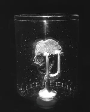 I saw a tree bearing stones in the place of apples and pears artwork