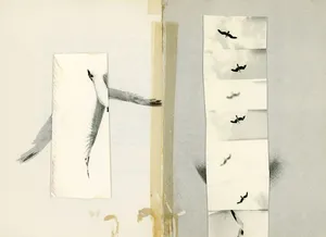 Ícaro artwork