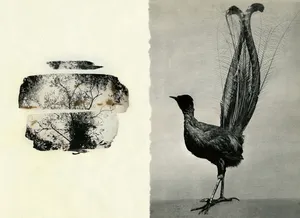 Ícaro artwork