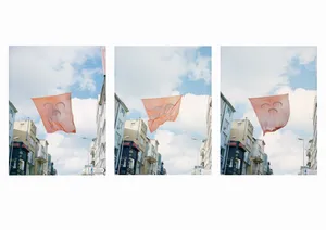 Il faut que les braises de Constantinople s'envolent jusqu'en Europe artwork