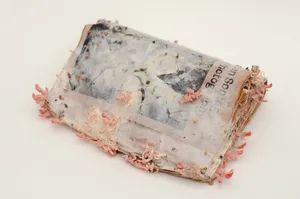 In a Pupa: relearning photography from a non-human perspective artwork