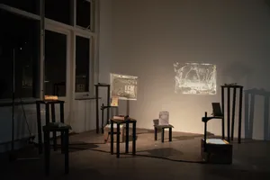 In a Pupa: relearning photography from a non-human perspective artwork