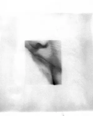 Inheriting The Silence artwork