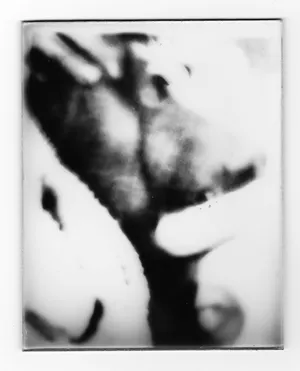 Inheriting The Silence artwork