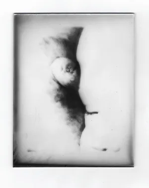 Inheriting The Silence artwork