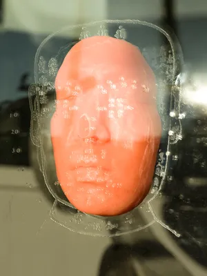 (Inter)Faces of Predictions, or How To Read a Face artwork