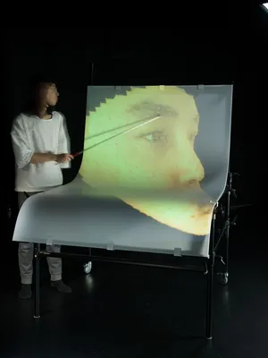 (Inter)Faces of Predictions, or How To Read a Face artwork