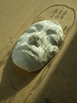 (Inter)Faces of Predictions, or How To Read a Face artwork