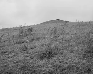 Mark McGuinness: "Photography has been used in relation to landscape and place since its inception"