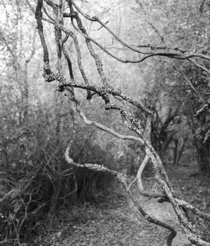 Ana Zibelnik: Photography serves me as a research tool, even more than as an expressive one