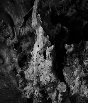 Ana Zibelnik: Photography serves me as a research tool, even more than as an expressive one