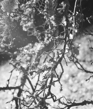 Ana Zibelnik: Photography serves me as a research tool, even more than as an expressive one