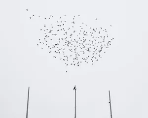 Ire Lenes: Photography is the key that opens new worlds and connects me with new people and their stories