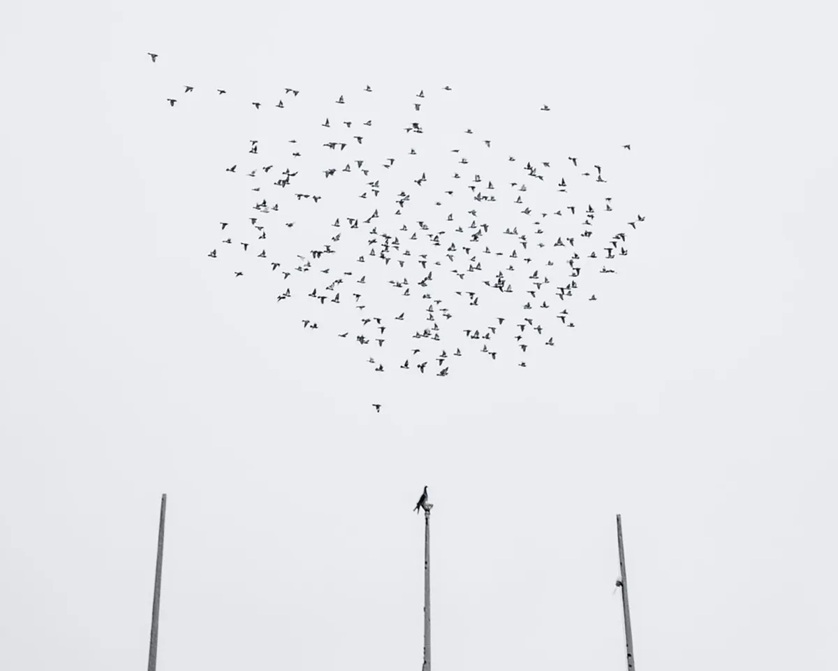 Ire Lenes: Photography is the key that opens new worlds and connects me with new people and their stories