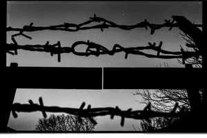 Istvan Bielik: As a photographer, I consider my duty to show the lives of minorities and to point out injustice in the world