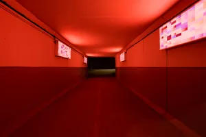 Jon Gorospe: The way photographs are produced, shared and read are in the core of every project I do