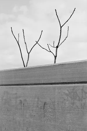 Jardin artwork
