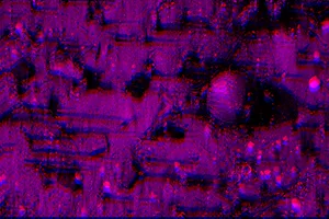 Je suis l’archive, I the Archive artwork