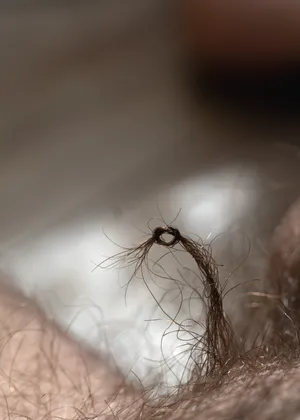 Knots artwork