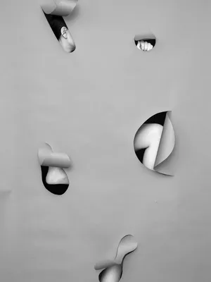 Komplement artwork