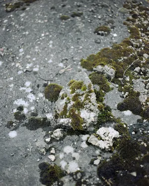 Kruszywo (Debris) artwork