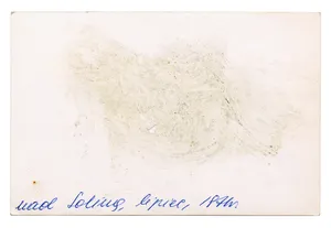 Kruszywo (Debris) artwork
