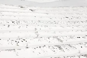 Land artwork