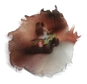 Larmes artwork