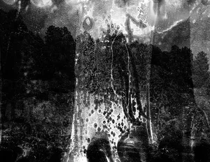 Les noirceurs du fleuve rouge artwork