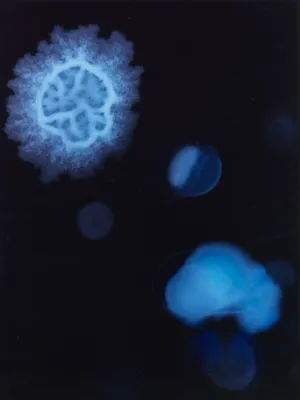 Les Ombres de nos constellations artwork
