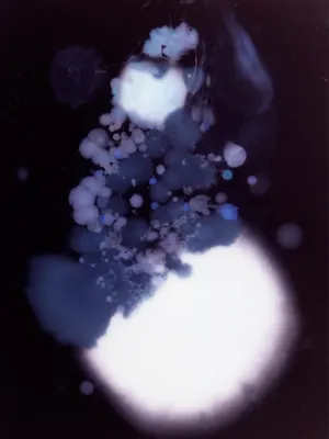 Les Ombres de nos constellations artwork